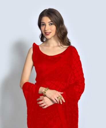 Beautiful Diamond Chokdi Seqwance Work Saree (Red)